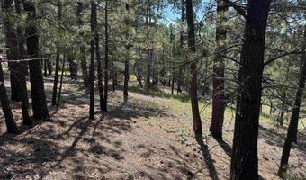 Upper Rd lot 18, Angel Fire, NM 87710