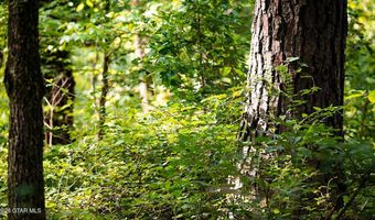 Cypress Pointe Drive lot 16, Brooksville, MS 39739