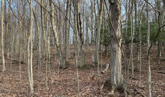 Lot 4 Mud Run Rd, Addison, NY 14801
