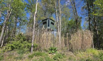 15252 27 Mile Rd, Albion, MI 49224