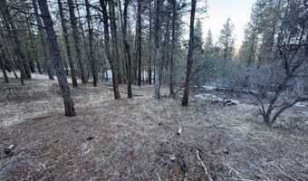 Bobcat Circle, Beatty, OR 97621