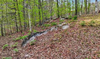 841 RAINTREE Dr Lot 53, Alexander City, AL 35010