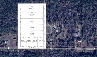 0 Harris Rd Tract 5, Albany, LA 70711
