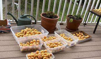 412 11th St NW, Albuquerque, NM 87102