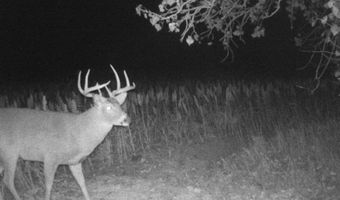 00000 CR 140, Alexander, KS 67513