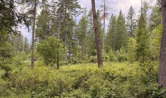 NNA Glacier Loop, Bayview, ID 83803