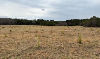 01 Seneca St Ext, Calhoun Falls, SC 29628
