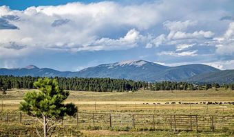 27502 US Highway 64 Roadrunner Tours, Angel Fire, NM 87710