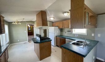 510 Sibbald Ave, Golconda, NV 89414