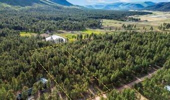 15 Co Rd 2083, Alpine, AZ 85920