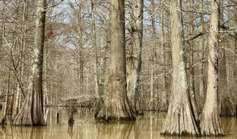 Putnam Road, Belzoni, MS 39038