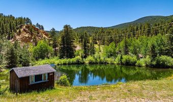993 Highway 7 Business, Allenspark, CO 80510