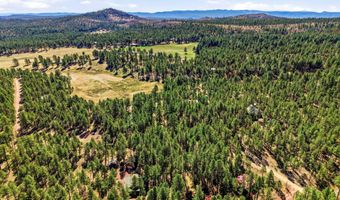 11 County Road 2135, Alpine, AZ 85920
