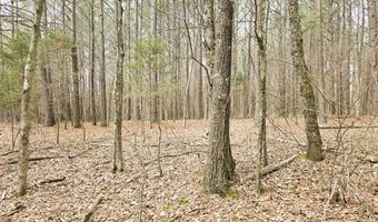 Zig Zag, Big Sandy, TN 38221