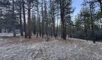 Bobcat Circle, Beatty, OR 97621