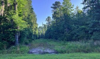 Jarvis Landing Road, Aurora, NC 27806