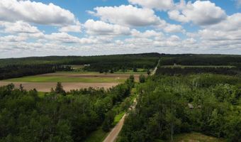 6955 Cedar, Alanson, MI 49706