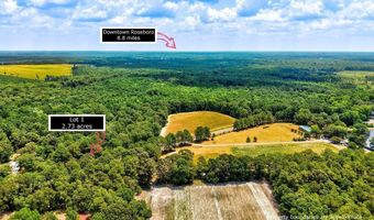 Ruth Vinson Road lot 1, Autryville, NC 28318