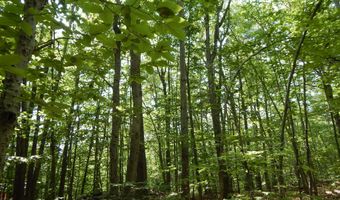 Lot 6 Maplecrest Road, Parsonsfield, ME 04047