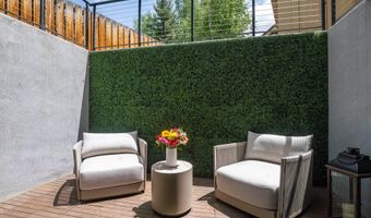 314 N Riverside Ave 2, Aspen, CO 81611