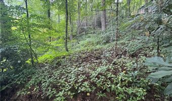 Tbd Clubhouse Drive, Banner Elk, NC 28604