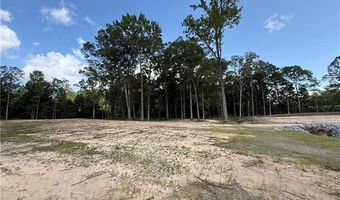 993 Paradise Rd PARADISE Rd, Ball, LA 71405