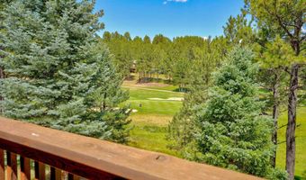 33 Champions Ter, Angel Fire, NM 87710