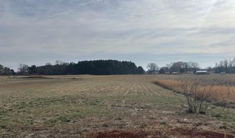 7066 Vivians Rd, Anderson, AL 35610