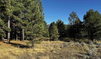 1290 Torrey Pines Ln, Angel Fire, NM 87710