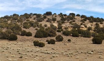 15 County Rd N8641, Concho, AZ 85924