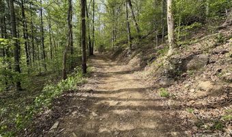 999999 Harwood Rd, Barnardsville, NC 28709