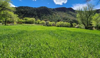 102 Co Rd 156, Glenwood Springs, CO 81601