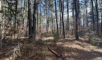 Lot 18 Panther Valley Dr, Drasco, AR 72530