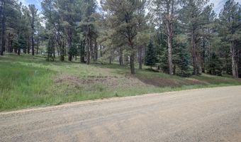 Lot 1311 San Pedro Dr, Angel Fire, NM 87710