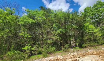 Strawberry Valley Road, Ash Flat, AR 72513