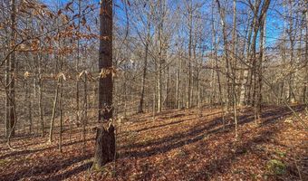 33056 Weaver Church Rd, Albany, OH 45710