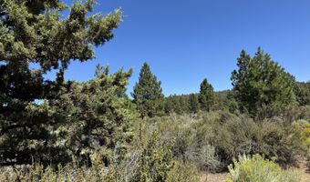 Bufflehead Drive 18, Bonanza, OR 97623