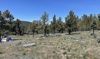 Beaver Lane 37, Bonanza, OR 97623