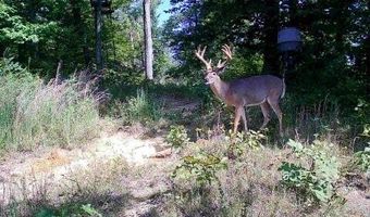 2291 Blankey Branch Rd, Beattyville, KY 41311