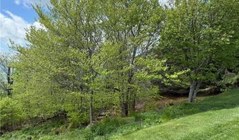 70 Sunset Strip, Beech Mountain, NC 28604