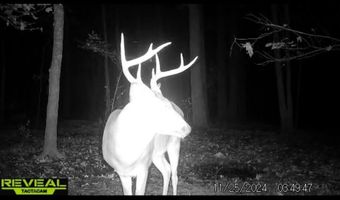 Gun Baoyu Road, Belzoni, MS 39038