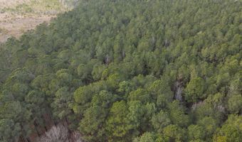 Tbd Highway 461, Ahoskie, NC 27910