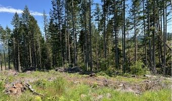 Tunnel Tract Parcel2, Banks, OR 97106