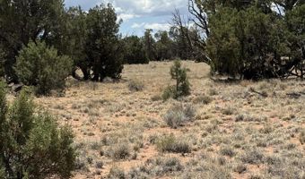 104 N 5532, Concho, AZ 85924