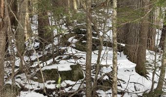Hodgdon Road, Alexandria, NH 03222