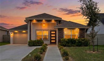 1007 W Sycamore Ave, Alton, TX 78572