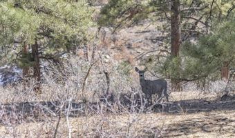 TBD Lot 5 Beaver Creek Ranch Drive, Bayfield, CO 81122