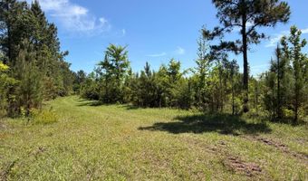 County Road 38, Autaugaville, AL 36003