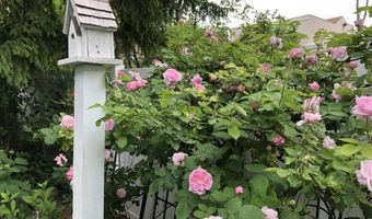 109 S Lake Ave, Albany, NY 12208