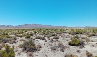 APN # 007-091-59, Fallon, NV 89406